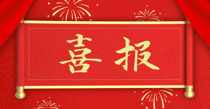 和普威視榮登2021年山東民營企業(yè)行業(yè)領(lǐng)軍10強榜單